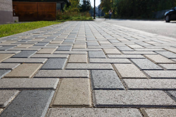 Best Local Driveway Pavers  in Llano Grande, TX